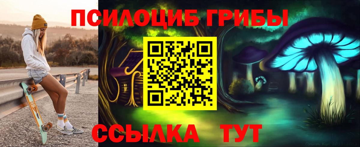 Галлюциногенные грибы Psilocybe Сертолово