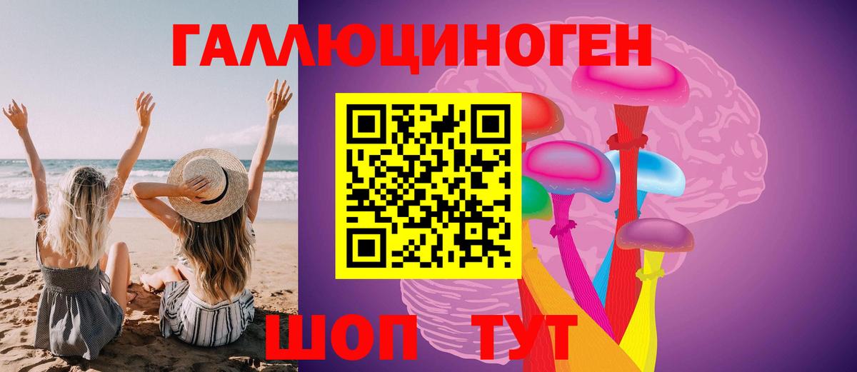Псилоцибиновые грибы прущие грибы  Вход с VPN  Сертолово  как найти   Галлюциногенные грибы мицелий 